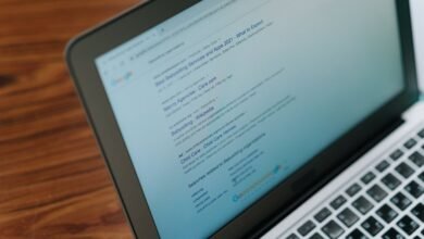 registry search insights ids listed