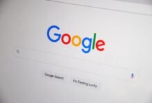 registry search results for specific numbers explore