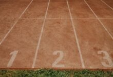 track ids verification results listed