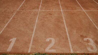 track ids verification results listed