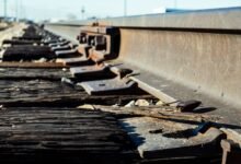 track verified registry ids details